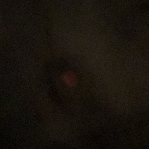 St. John’s Bay Swim Skirt - Picture 5 of 6